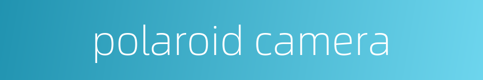 polaroid camera的同义词