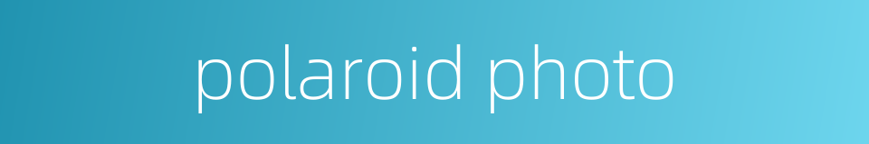 polaroid photo的同义词