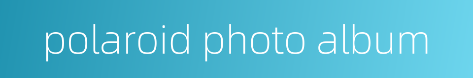 polaroid photo album的同义词
