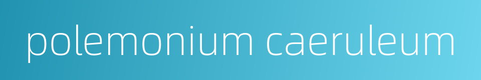 polemonium caeruleum的同义词