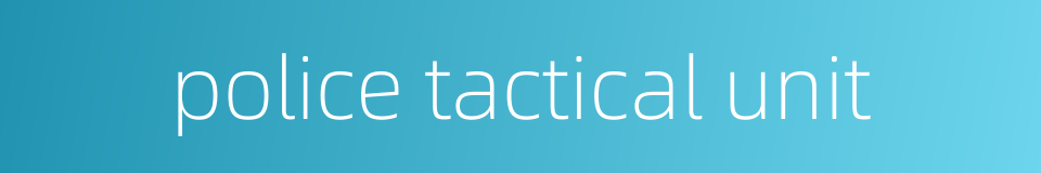 police tactical unit的同义词