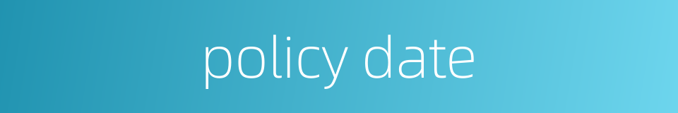 policy date的同义词