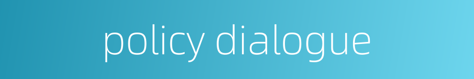 policy dialogue的同义词
