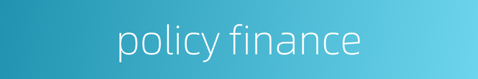 policy finance的同义词