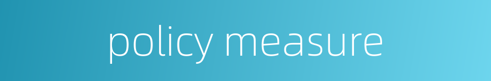 policy measure的同义词