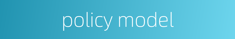 policy model的同义词