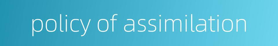 policy of assimilation的同义词