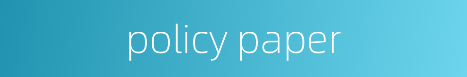 policy paper的同义词