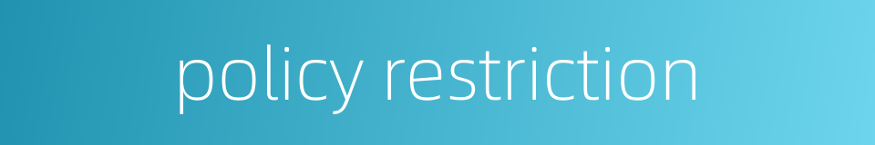policy restriction的同义词