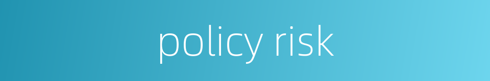 policy risk的同义词