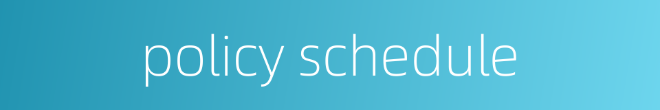 policy schedule的同义词