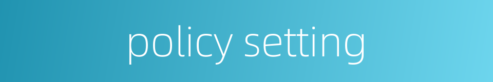 policy setting的同义词