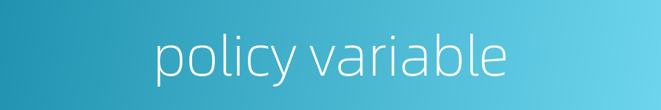 policy variable的同义词