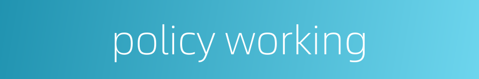 policy working的同义词