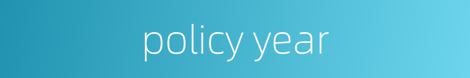 policy year的同义词