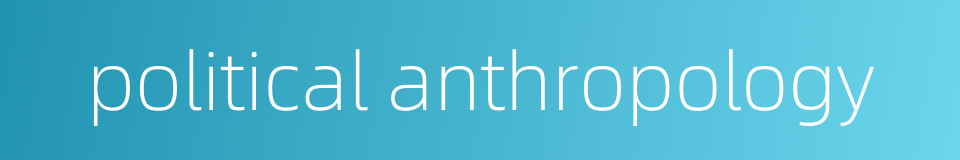 political anthropology的同义词