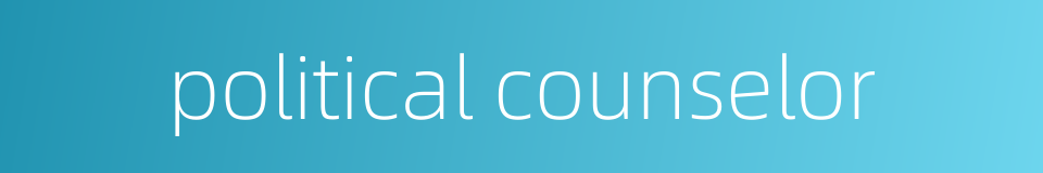 political counselor的同义词