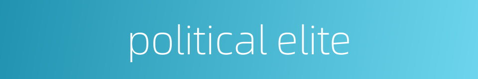 political elite的同义词