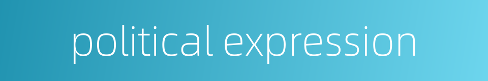 political expression的同义词
