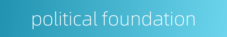 political foundation的同义词