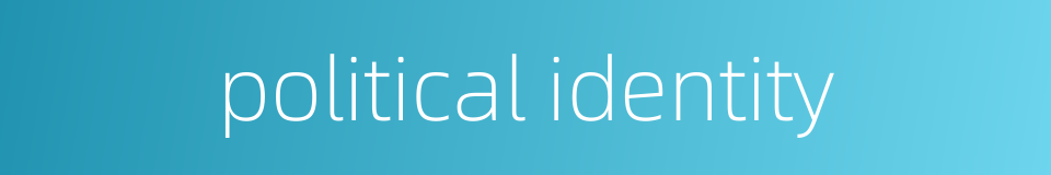 political identity的同义词