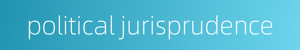 political jurisprudence的同义词