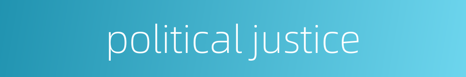 political justice的同义词