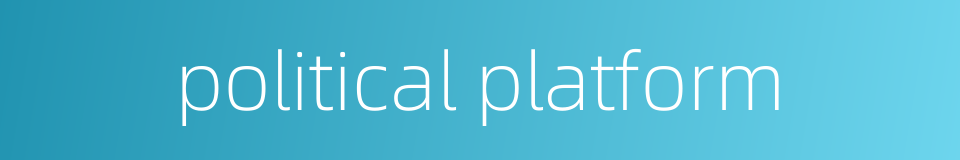 political platform的同义词