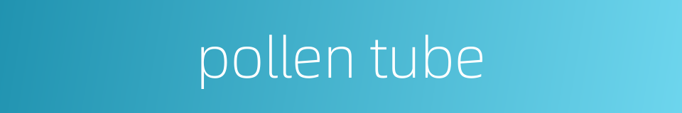 pollen tube的同义词