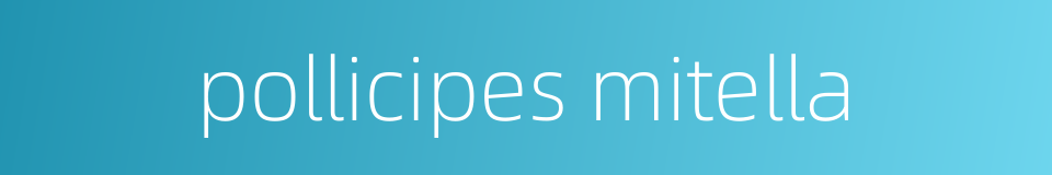 pollicipes mitella的同义词