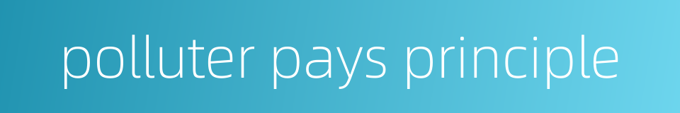 polluter pays principle的同义词