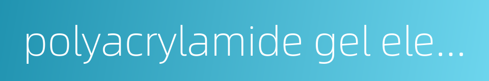 polyacrylamide gel electrophoresis的同义词