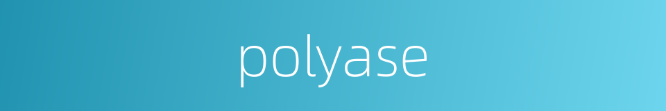 polyase的同义词