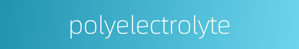 polyelectrolyte的同义词