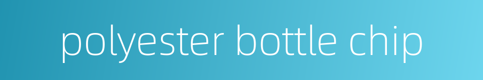 polyester bottle chip的同义词