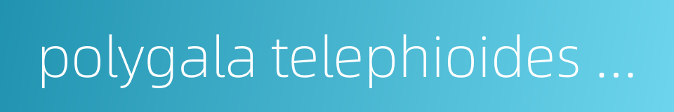 polygala telephioides willd的同义词