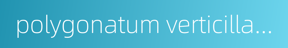 polygonatum verticillatum的同义词