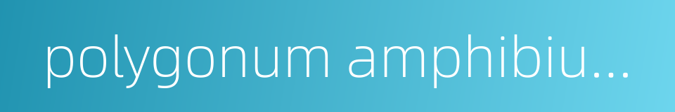 polygonum amphibium l的同义词