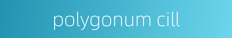 polygonum cill的同义词