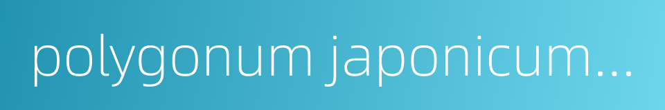 polygonum japonicum meisn的同义词