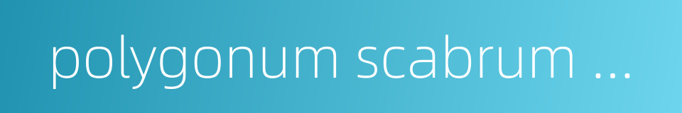 polygonum scabrum moench的同义词
