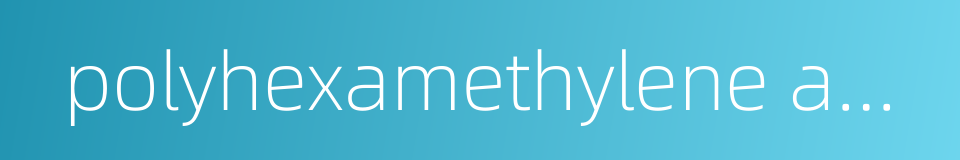 polyhexamethylene adipamide的同义词