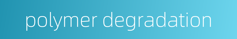 polymer degradation的同义词