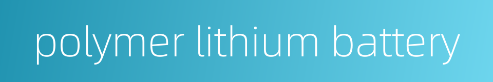 polymer lithium battery的同义词