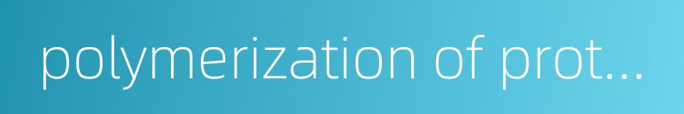 polymerization of protein的同义词