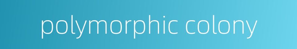 polymorphic colony的同义词