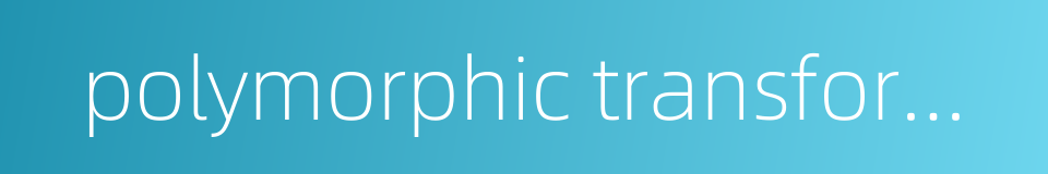 polymorphic transformation的同义词
