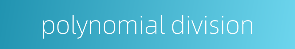 polynomial division的同义词