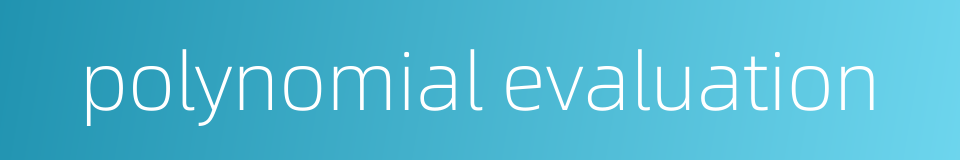 polynomial evaluation的同义词