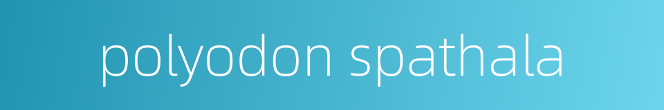 polyodon spathala的同义词